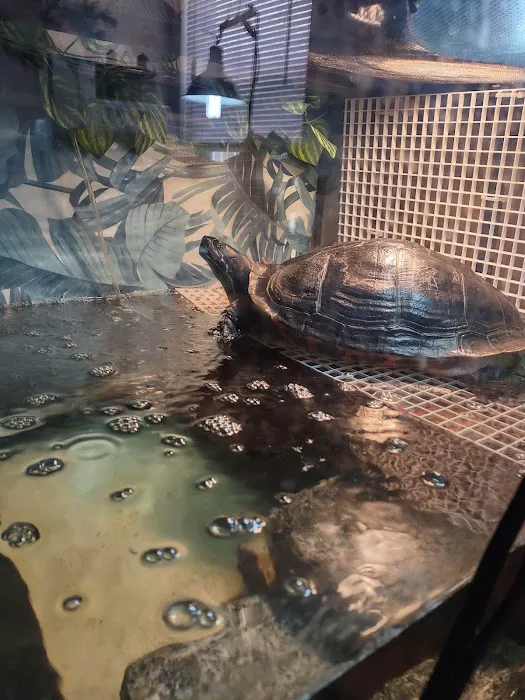All Creatures Veterinary Care Center Picture 5