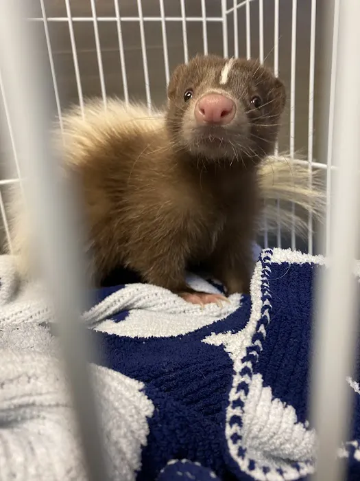 All Creatures Veterinary Care Center Picture 6