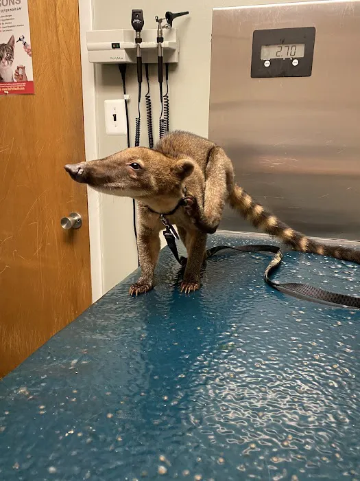 All Creatures Veterinary Care Center Picture 8