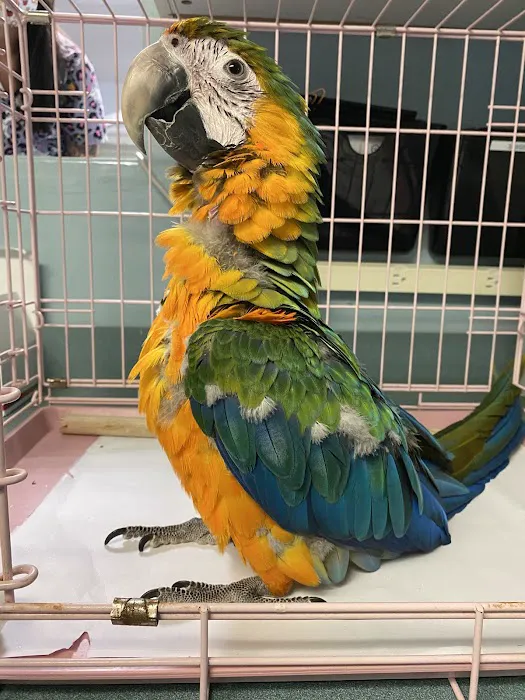 All Creatures Veterinary Care Center Picture 10