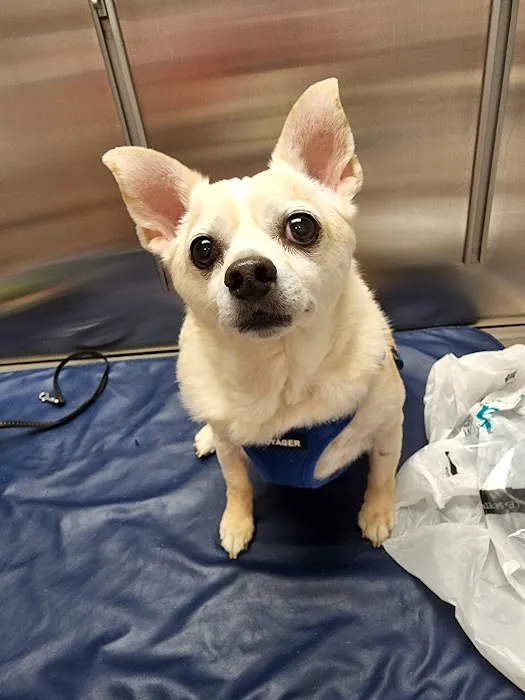 Bethel Mill Animal Hospital Picture 1