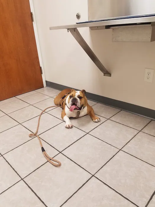 Bethel Mill Animal Hospital Picture 5