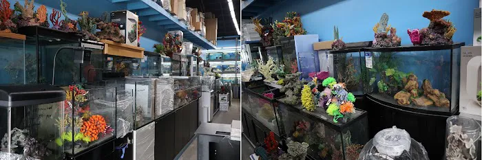 Beital's Aquariums Sales, Services & Ponds Picture 3
