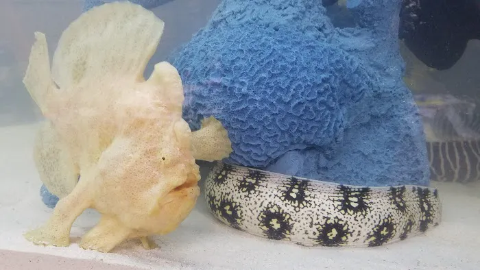 Beital's Aquariums Sales, Services & Ponds Picture 6