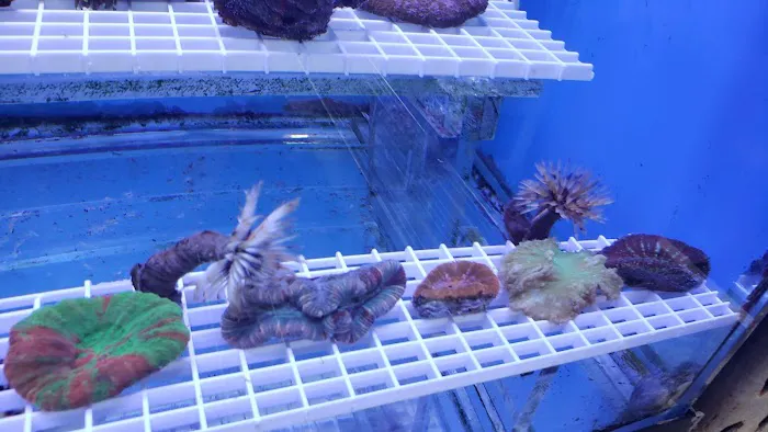 Beital's Aquariums Sales, Services & Ponds Picture 4