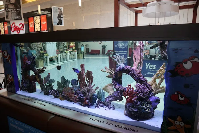 Beital's Aquariums Sales, Services & Ponds Picture 5