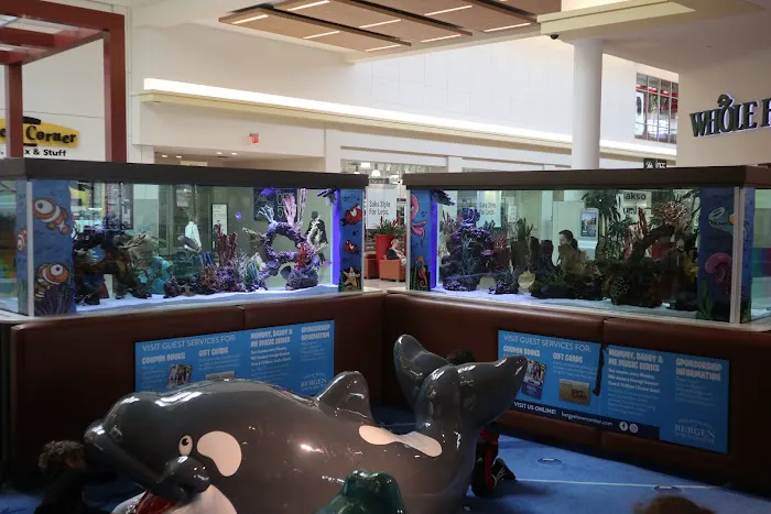 Beital's Aquariums Sales, Services & Ponds Picture 8