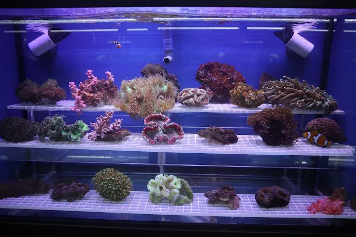 Beital's Aquariums Sales, Services & Ponds Picture 10