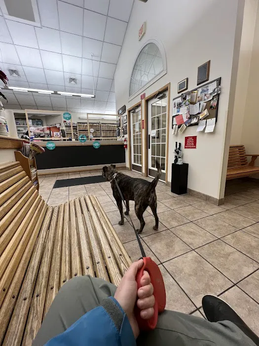 Pitman Animal Hospital Picture 4