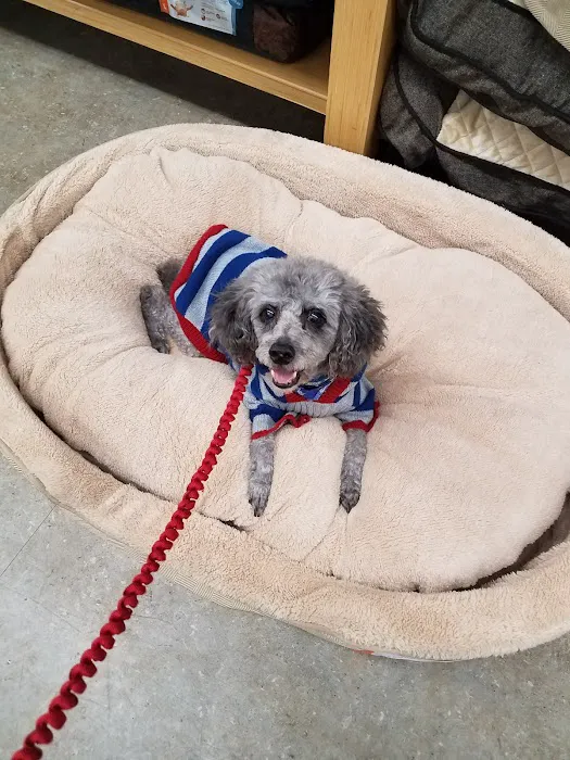 Petco Picture 1