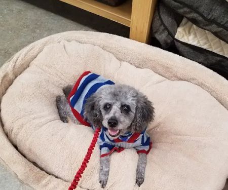 Petco