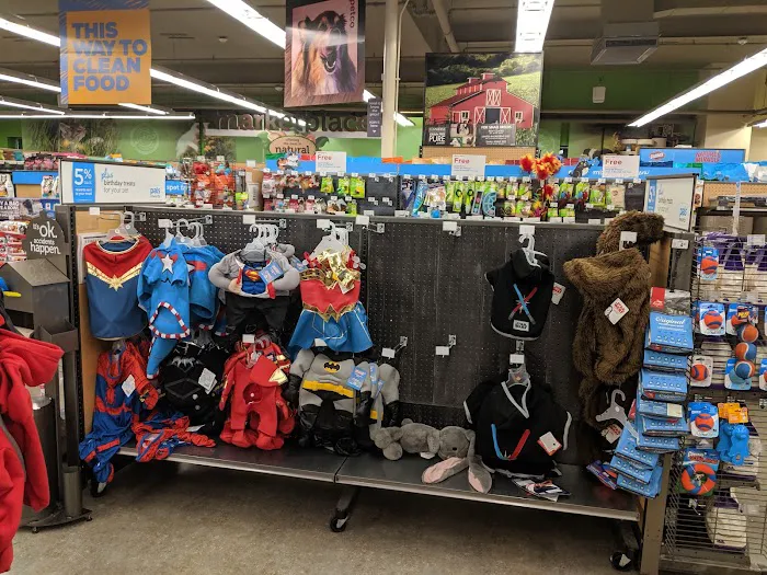 Petco Picture 2