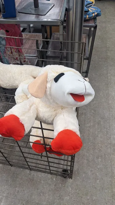 Petco Picture 5