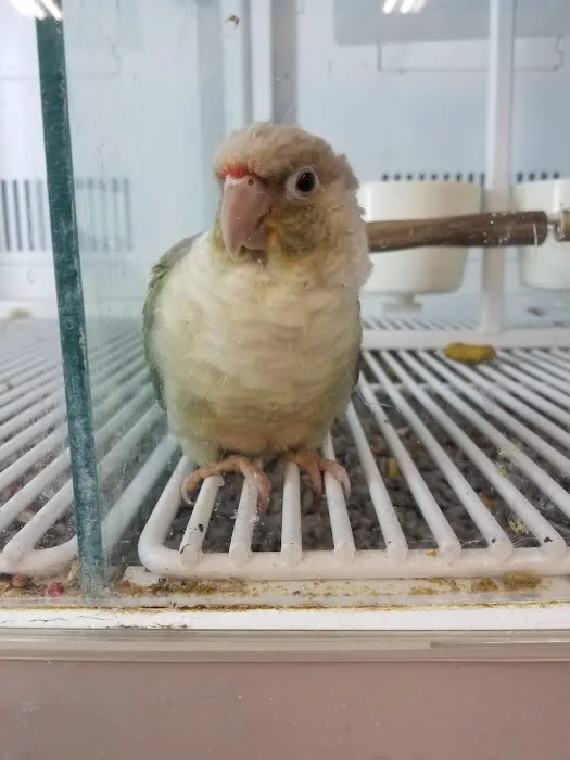 Petco Picture 4