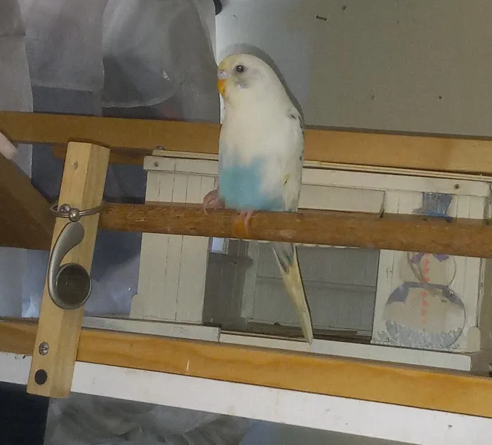 Petco Picture 8