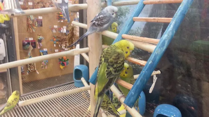 Petco Picture 10