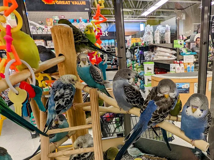 Petco Picture 2