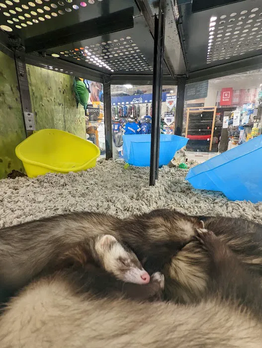 Petco Picture 3