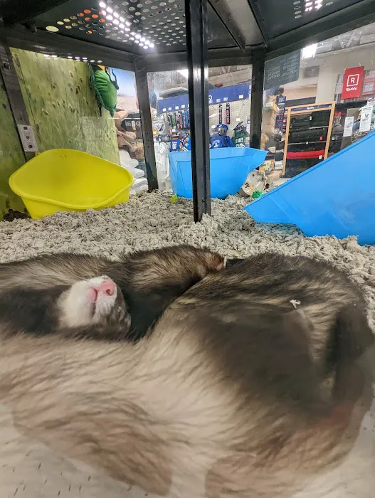 Petco Picture 6