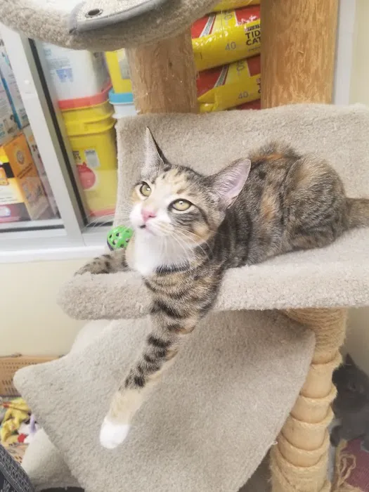 Petco Picture 9