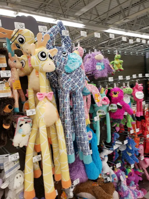 Petco Picture 10
