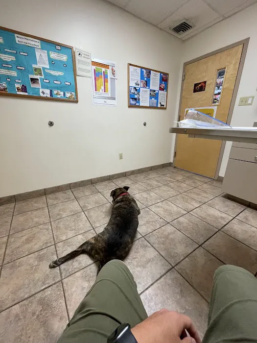 Pitman Animal Hospital: La Ferriere Genevieve DVM Picture 4