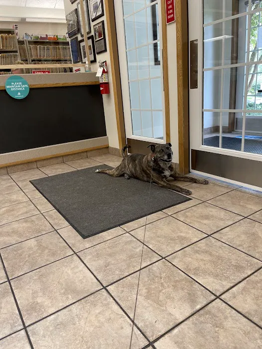 Pitman Animal Hospital: La Ferriere Genevieve DVM Picture 6