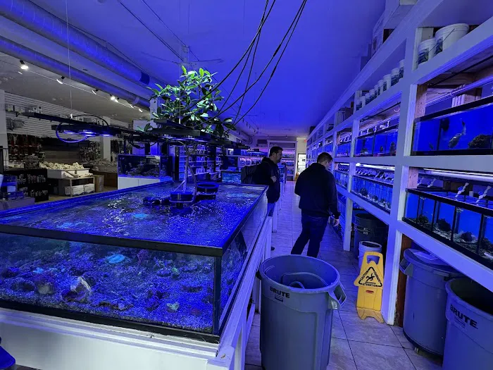 The Aquarium Shop Westbury Picture 2