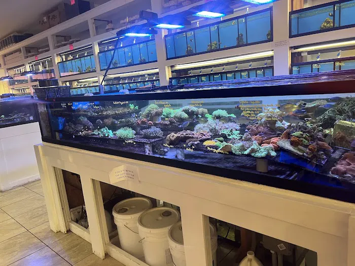 The Aquarium Shop Westbury Picture 6