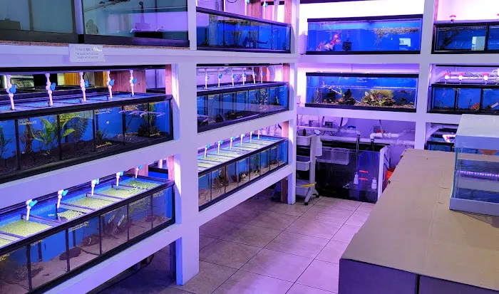 The Aquarium Shop Westbury Picture 9