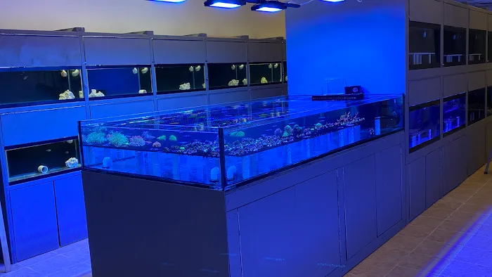 Reef Shark Aquarium Inc Picture 2