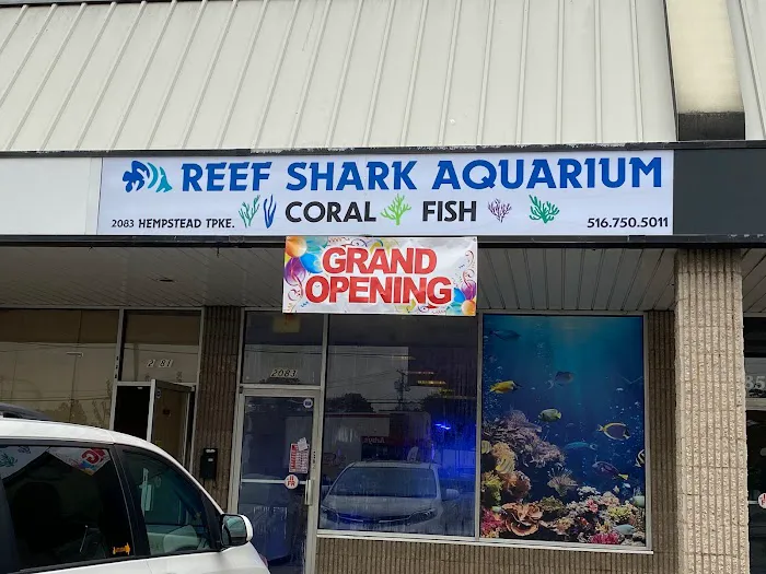 Reef Shark Aquarium Inc Picture 1