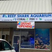 Reef Shark Aquarium Inc ico