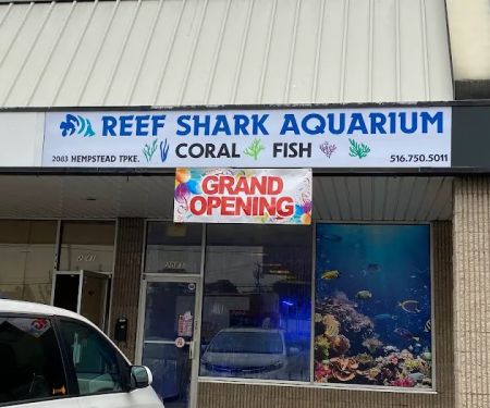 Reef Shark Aquarium Inc