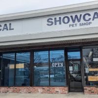 Tropical Showcase ico