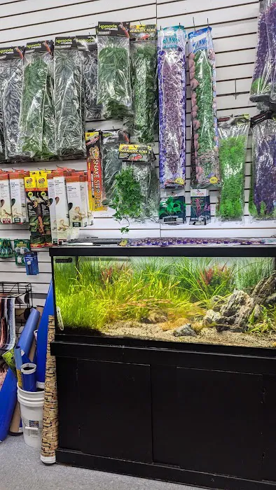 Tropical Showcase Picture 5