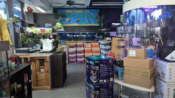 Tropical Showcase Picture 8