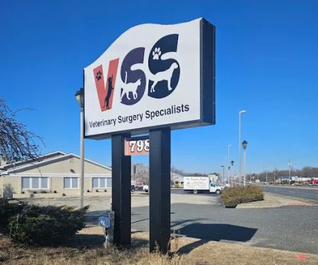 Veterinary Surgery Specialists