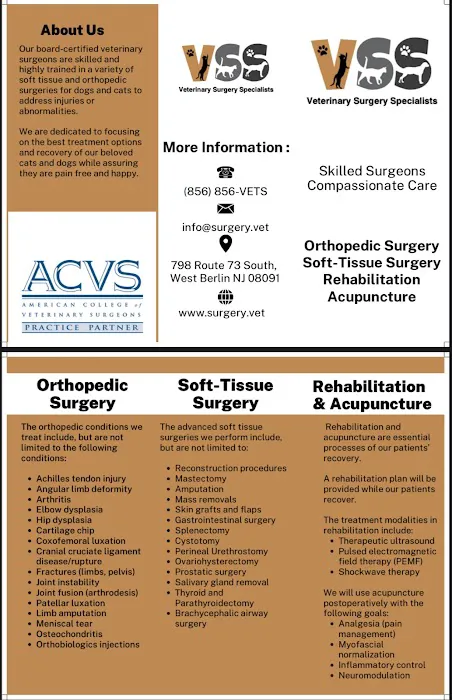 Veterinary Surgery Specialists Picture 3