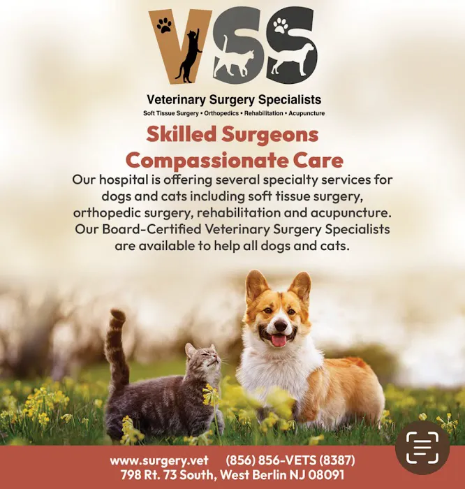 Veterinary Surgery Specialists Picture 7