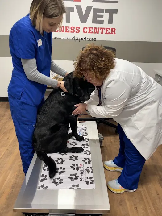 PetVet Vaccination Clinic Picture 2