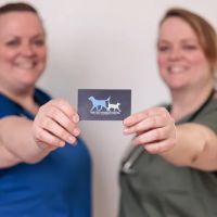 Twin Tails Veterinary Hospital ico