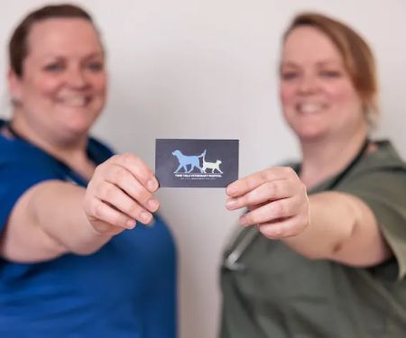 Twin Tails Veterinary Hospital