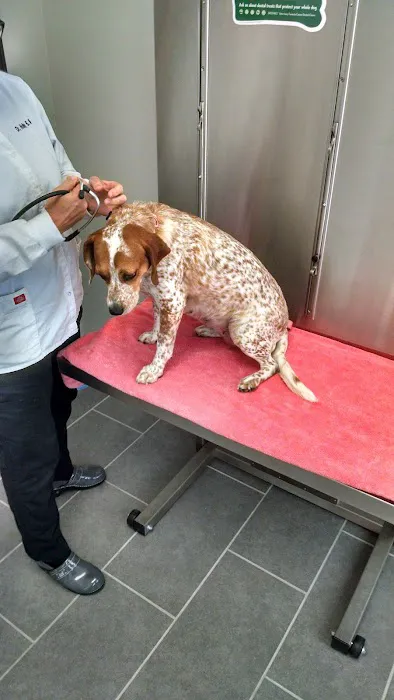Claymont Animal Hospital Picture 1