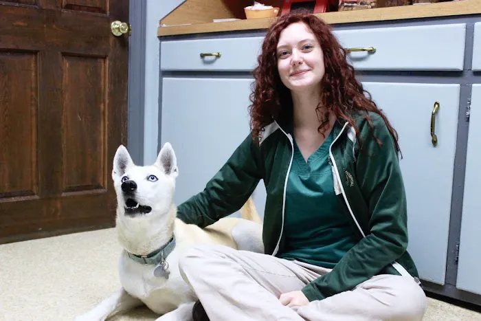 Graylyn Crest Animal Hospital Picture 4