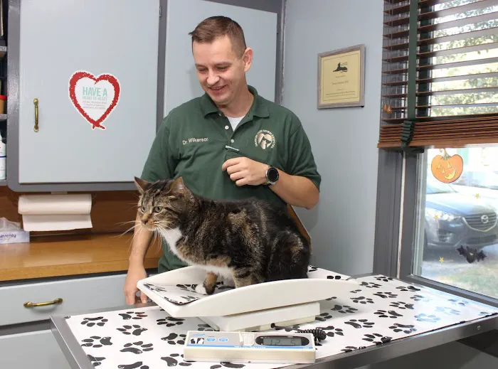 Graylyn Crest Animal Hospital Picture 6