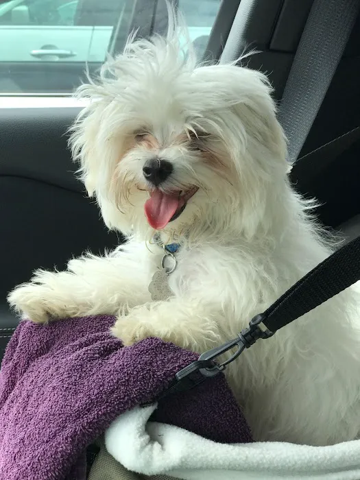 Graylyn Crest Animal Hospital Picture 8