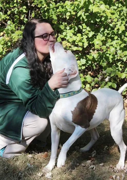Graylyn Crest Animal Hospital Picture 7