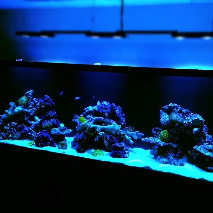Reefco Aquariums - Showroom and Service Picture 2