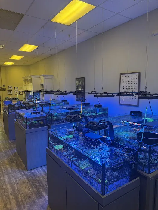Reefco Aquariums - Showroom and Service Picture 5